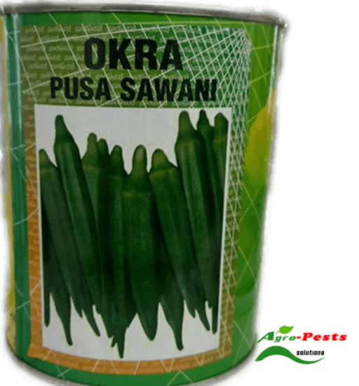 Picture of Okra Pusa Sawani