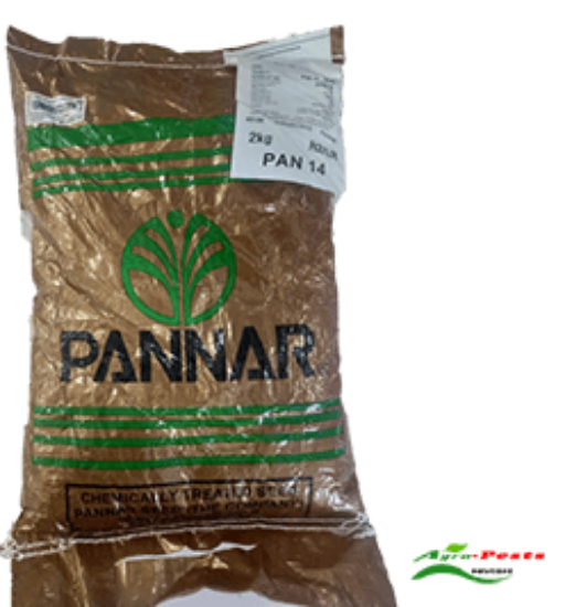 Picture of Pannar