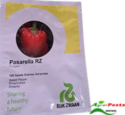 Picture of Pasarella RZ Red Capsicum