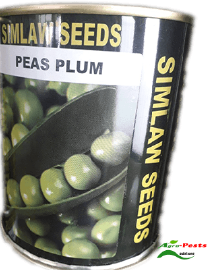 Picture of Peas plum