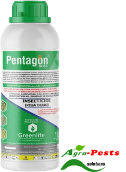 Picture of Pentagon 50 EC