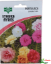 Picture of Portulaca Double Mix