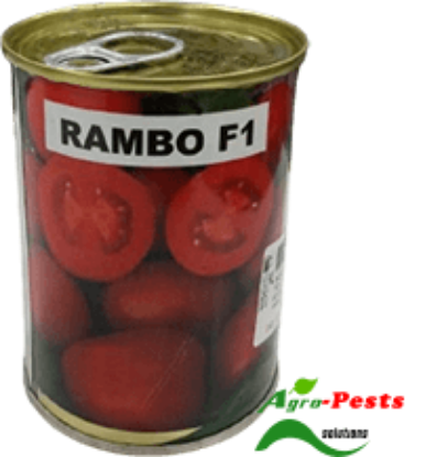Picture of Rambo F1