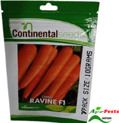 Picture of Ravine F1 Carrot