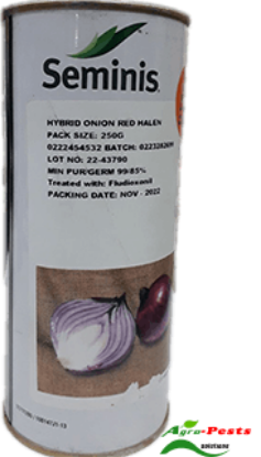Picture of Red Halen Onion