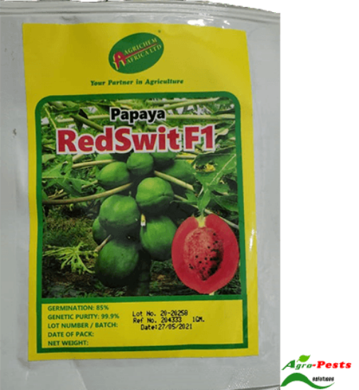 Picture of Redswit F1 papaya