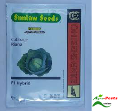Picture of Riana Cabbage