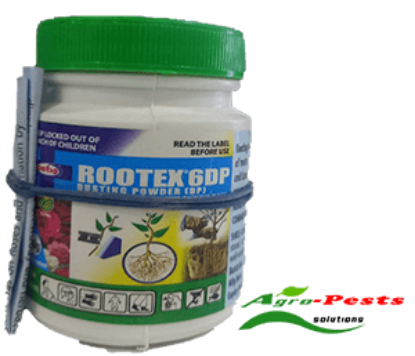 Picture of Rootex