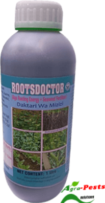Picture of Rootsdoctor