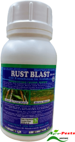 Picture of Rust Blast
