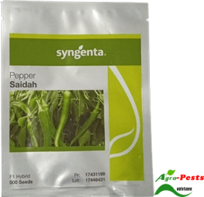 Picture of Saida Pepper 500 Seeds