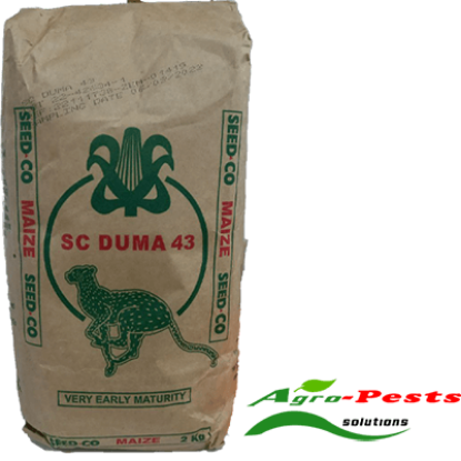Picture of sc duma 43