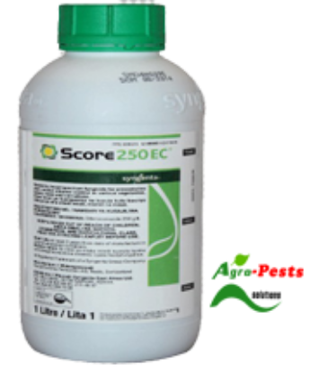 Picture of Score