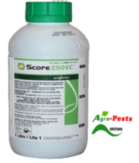 Picture of Score