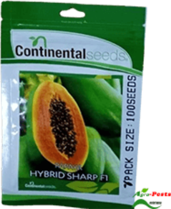 Picture of Sharp F1