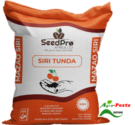 Picture of Siri Tunda