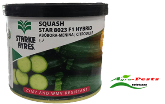 Picture of Squash Star 8023 F1 Hybrid