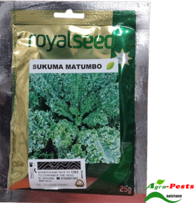 Picture of Sukuma Matumbo Royal