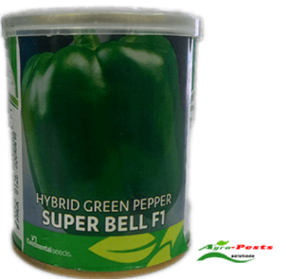 Picture of Super bell f1