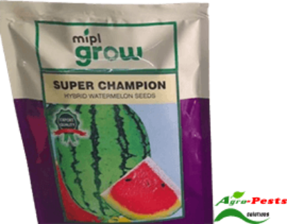 Picture of Super Champion