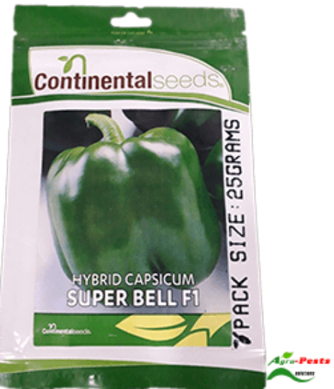 Picture of Superbell F1