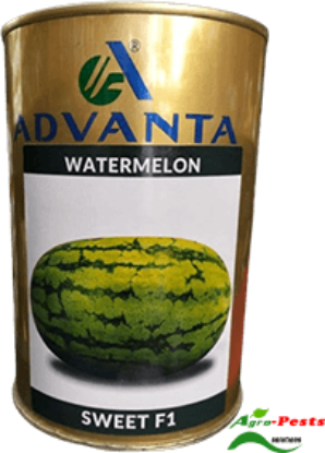 Picture of Sweet F1 Watermelon