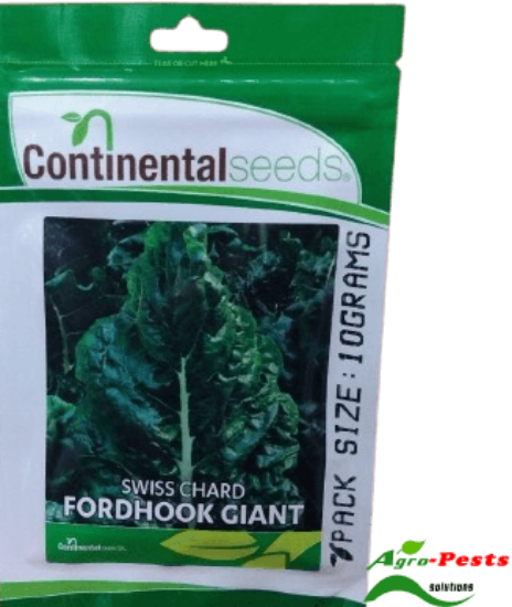 Picture of Swiss Chard Fordhook Cont
