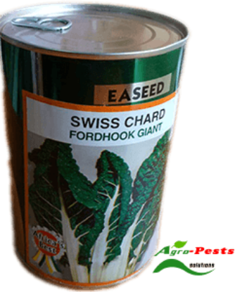 Picture of Swiss chard fordhook giant EA