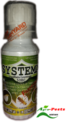 Picture of Systema