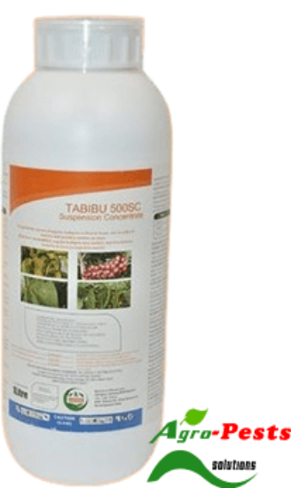 Picture of Tabibu 500SC