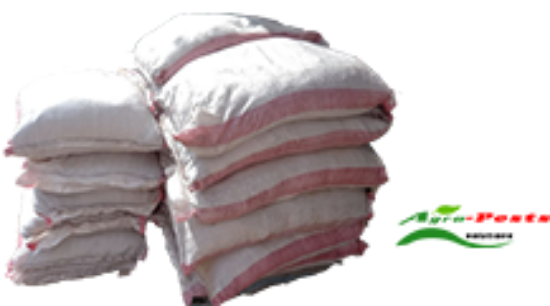 Picture of Treated cocopeat