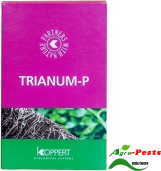 Picture of Trianum-P