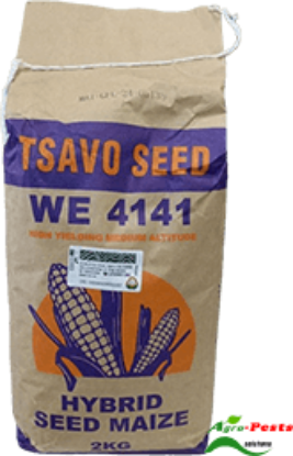 Picture of Tsavo 4141