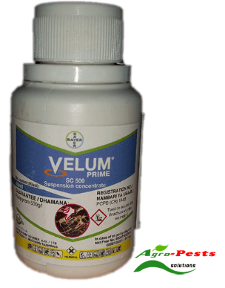 Picture of Velum Prime
