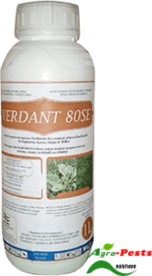 Picture of Verdant 80SE