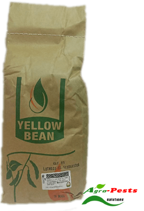 Picture of Yellow bean