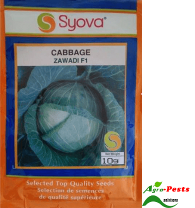 Picture of Zawadi F1 - Cabbage